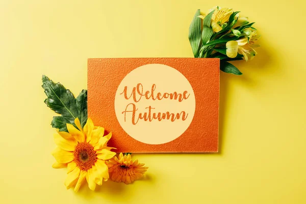 Top View Orange Card Welcome Autumn Lettering Sunflower Gerbera Lily — Stock Photo, Image
