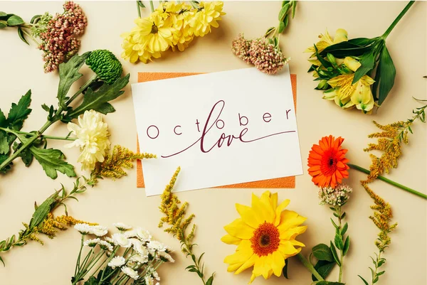 Flat lay with wildflowers and cards with "october love" inspiration on beige backdrop — Stock Image Flat Lay Wildflowers Cards October Love Inspiration Beige Backdrop Royalty Free Stock Images