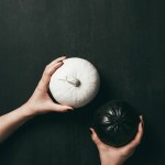 Abgeschnittene Ansicht einer Frau, die schwarze und weiße Halloween-Kürbisse in den Händen hält Abgeschnittene Ansicht einer Frau, die schwarze und weiße Halloween-Kürbisse in den Händen hält