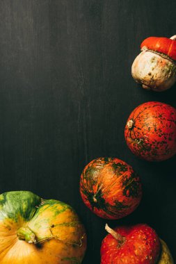 Sonbahar kabaklar üstten görünüm kopya alanı ile koyu arka plan üzerinde