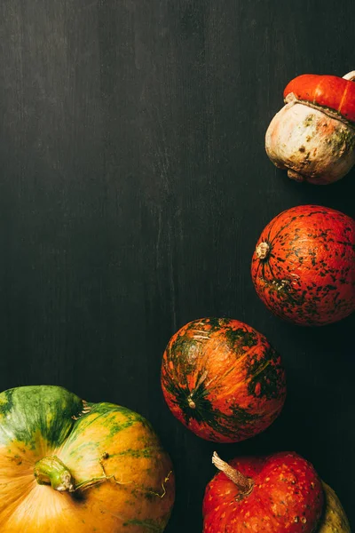 Bovenaanzicht Van Herfst Pumpkins Donkere Achtergrond Met Kopie Ruimte — Gratis stockfoto