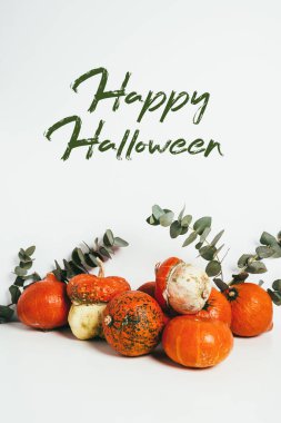 Turuncu Sonbahar kabaklar ve okaliptüs dalları ile mutlu Cadılar Bayramı yazı