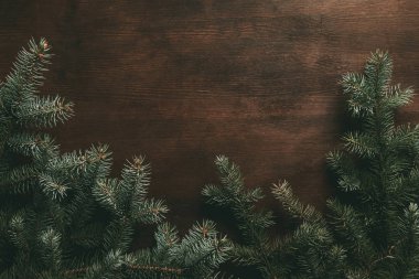 traditional pine branches on dark wooden background clipart