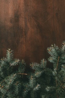 green fir branches on brown wooden background clipart