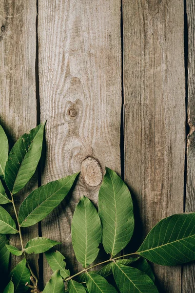 木製のテーブルの葉の美しい緑のクルミの平面図 — ストック写真