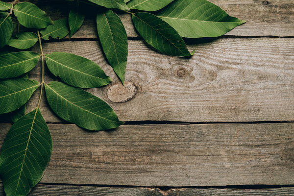 top view of beautiful green walnut leaves on wooden table 