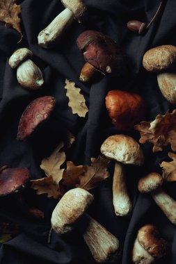 üstten görünüm çeşitli çiğ yenilebilir mantar ve kuru siyah kumaş üzerine bırakır