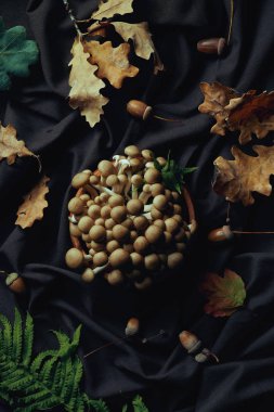 top view of raw edible autumnal mushrooms in bowl on dark fabric clipart