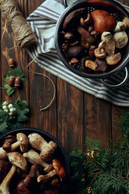 top view of various delicious raw mushrooms in pans and rope on wooden table clipart