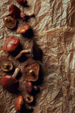 parşömen kağıt üzerine taze çiğ lezzetli suillus mantar üstten görünüm
