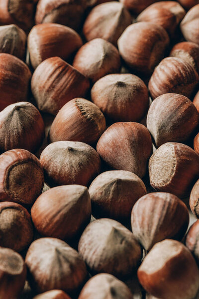full frame view of raw ripe organic hazelnuts background