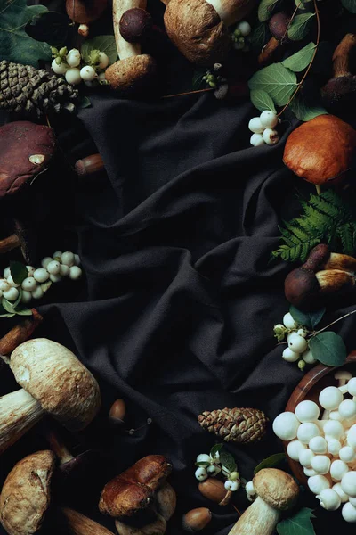 Top View Various Raw Edible Mushrooms Black Fabric — Stock Photo, Image