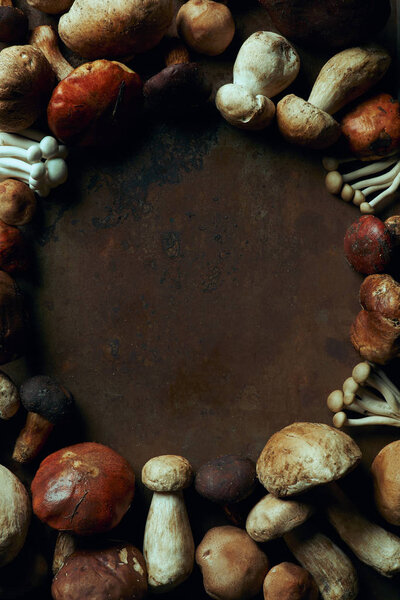 вид сверху на разнообразные свежие съедобные грибы на тёмном фоне
