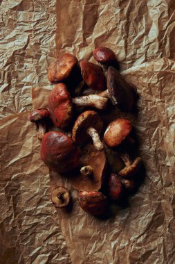 parşömen kağıt üzerine taze çiğ yenilebilir suillus mantar üstten görünüm