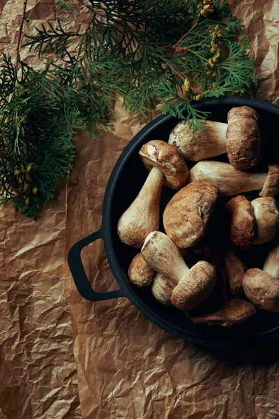 Top View Raw Delicious Boletus Edulis Mushrooms Pan — Stock Photo, Image