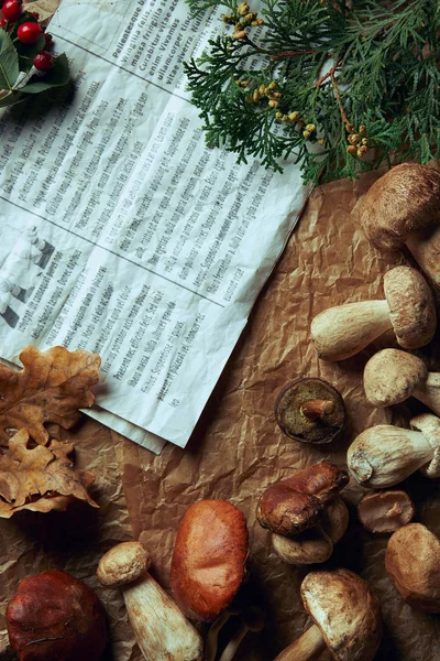 Top View Fresh Assorted Edible Mushrooms Newspaper — Free Stock Photo