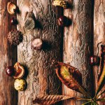 Top view of chestnuts and dry leaves on wooden background