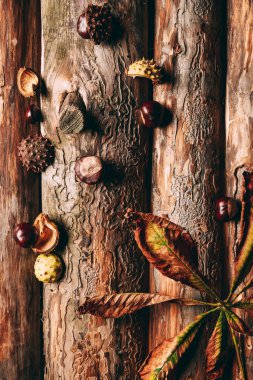 top view of chestnuts and dry leaves on wooden background clipart