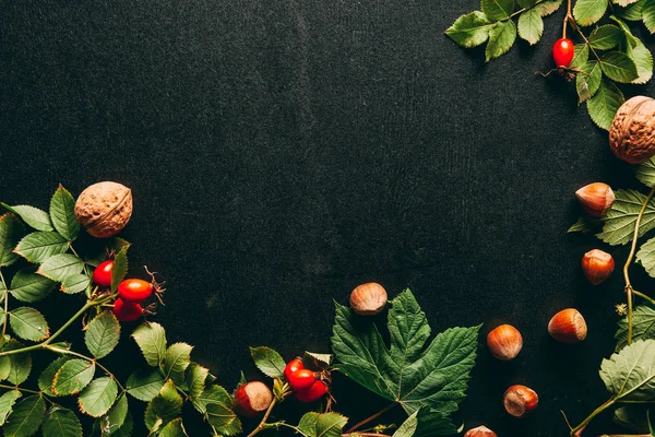 Vlakke Leggen Met Herfst Planten Regeling Zwarte Achtergrond — Stockfoto