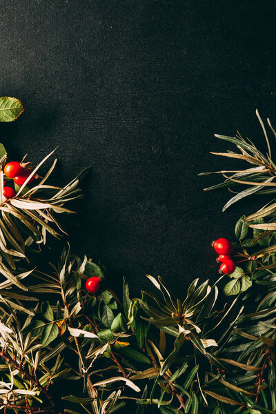 flat lay with autumn plants arrangement on black background