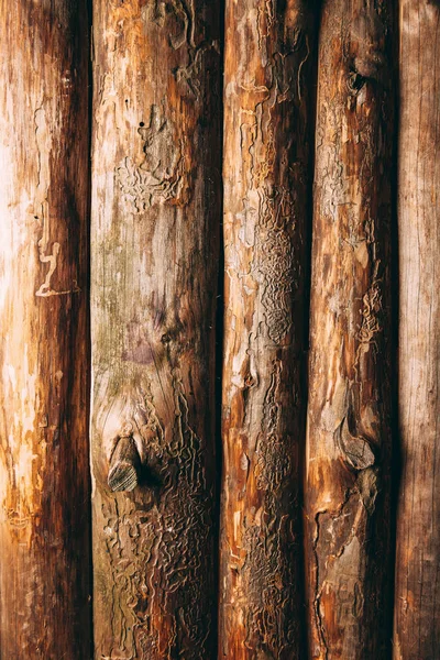 Vollständiger Rahmen Aus Braunen Baumstämmen Als Holzgrund — Stockfoto