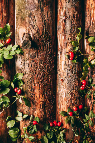 flat lay with briar red berries and green leaves on wooden background