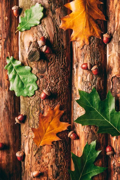 Flat Lay Acorns Fallen Oak Leaves Wooden Background — Stock Photo, Image