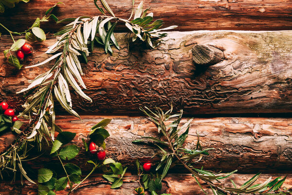 flat lay with autumn arrangement with common sea buckthorn and briar branches on wooden backdrop