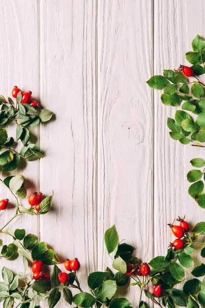 flat lay with briar berries with green leaves on white wooden surface