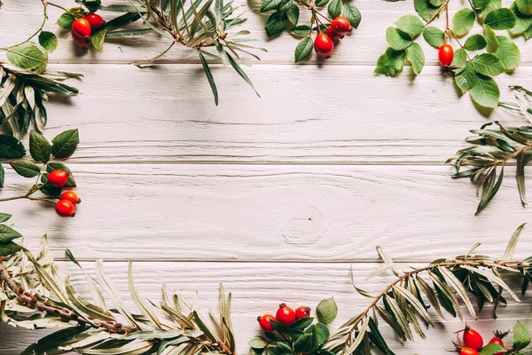 Flat Lay Arrangement Autumn Herbs White Wooden Tabletop — Stock Photo, Image