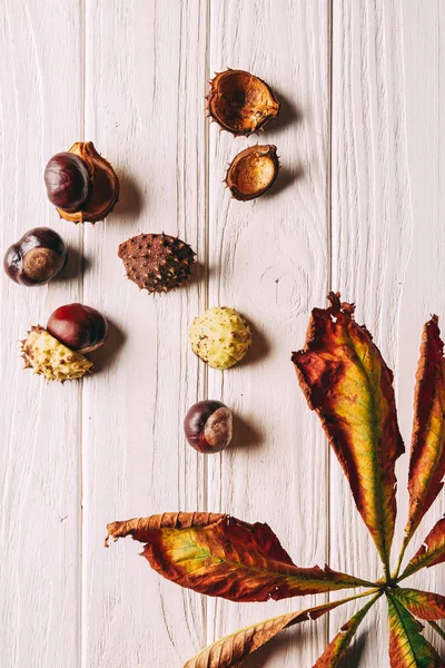 Deitado Plano Com Castanhas Folhas Secas Mesa Madeira Branca — Fotografia de Stock