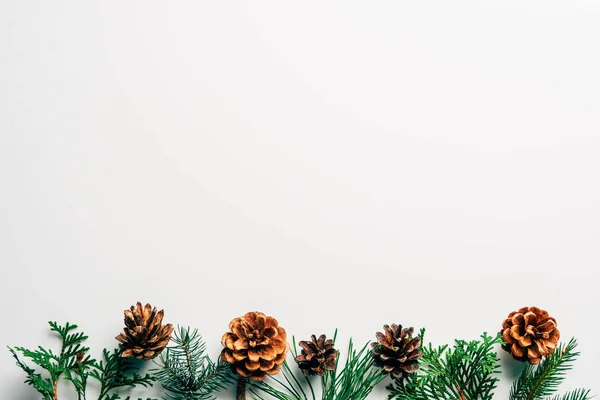 Vlakke Leggen Met Groene Takken Dennenappels Gerangschikt Witte Achtergrond — Stockfoto