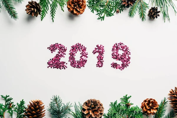 Flat Lay 2019 Year Sign Made Pink Confetti Pine Tree — Stock Photo, Image