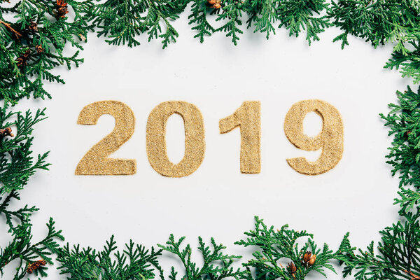 top view of 2019 year sign made of golden glitters and pine branches on white backdrop