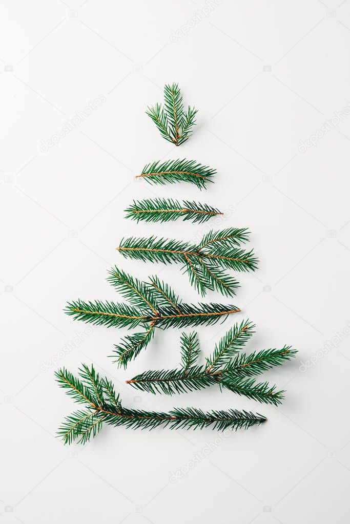 top view of pine tree branches arranged in tree shape isolated on white