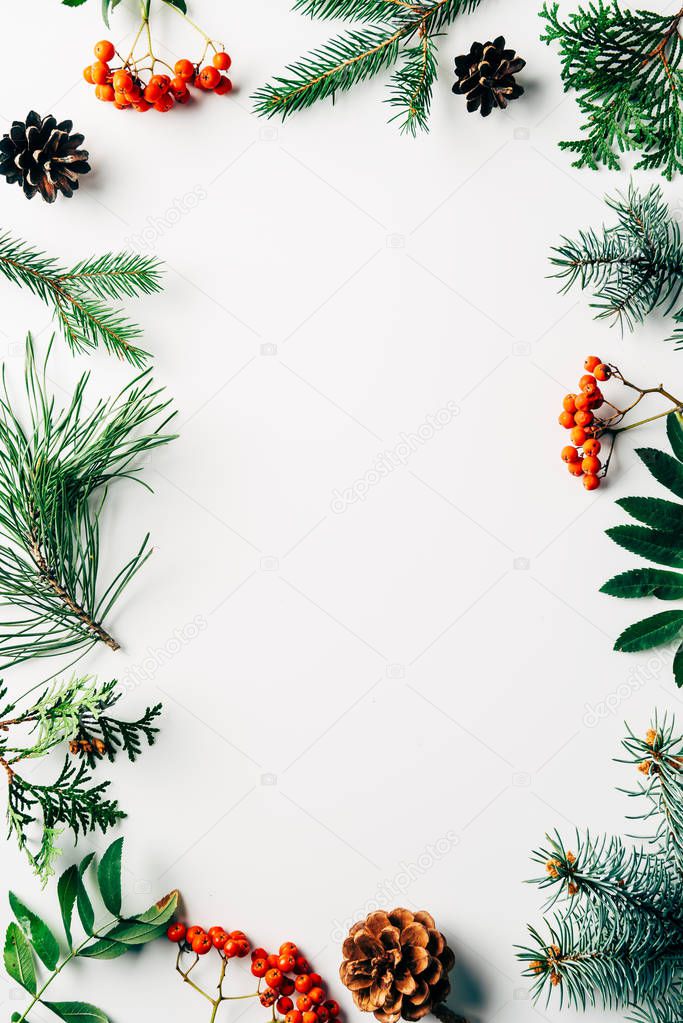 flat lay with winter arrangement of pine tree branches, cones and sea buckthorn on white backdrop