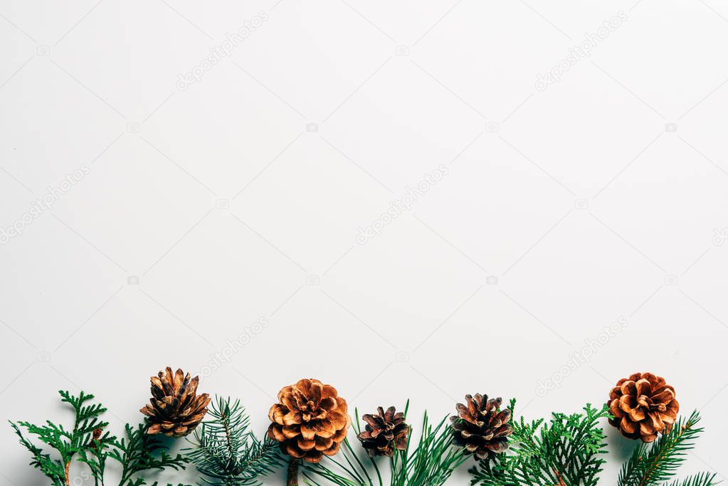 flat lay with green branches and pine cones arranged on white backdrop