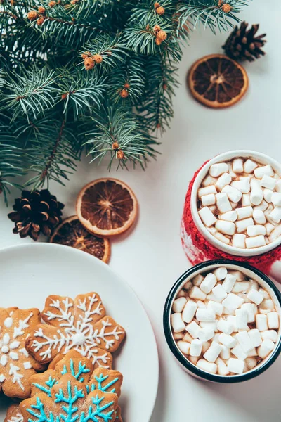 Top View Cups Hot Chocolate Marshmallows Cookies Pine Tree Branches — Stock Photo, Image