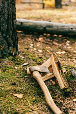 pile of chopped firewood on ground with ax in autumn forest  clipart