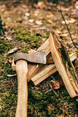 vertical view of pile of chopped firewood on ground with ax in autumn forest clipart