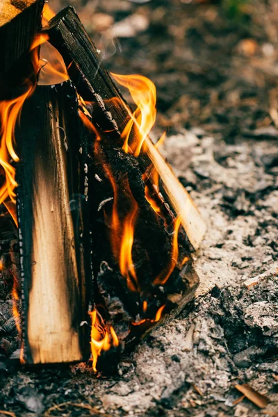 Close Burning Timber Bonfire Forest — Stock Photo, Image