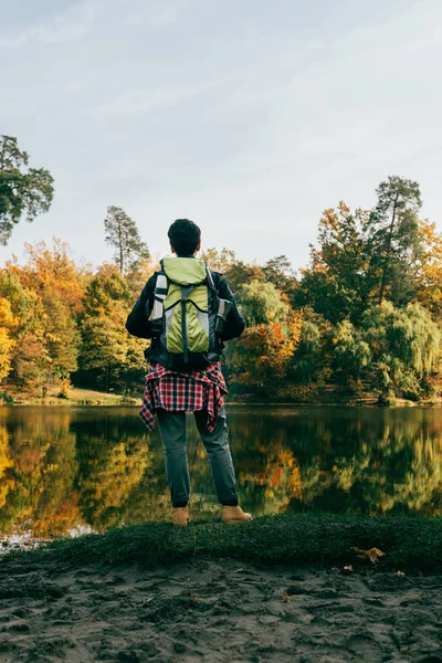 Rear View Traveller Backpack Autumnal Background — Free Stock Photo