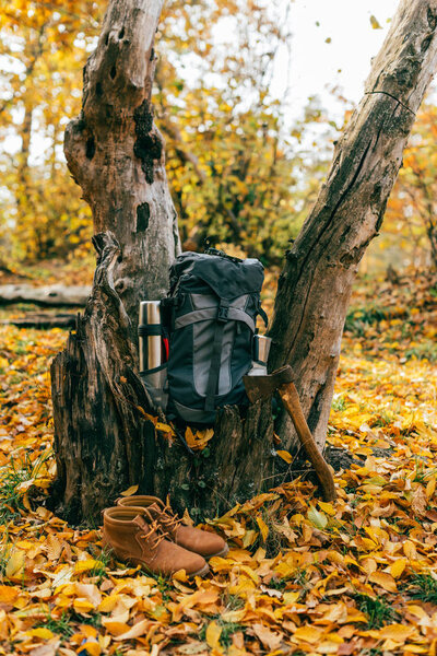 camping supplies on autumnal background with foliage 