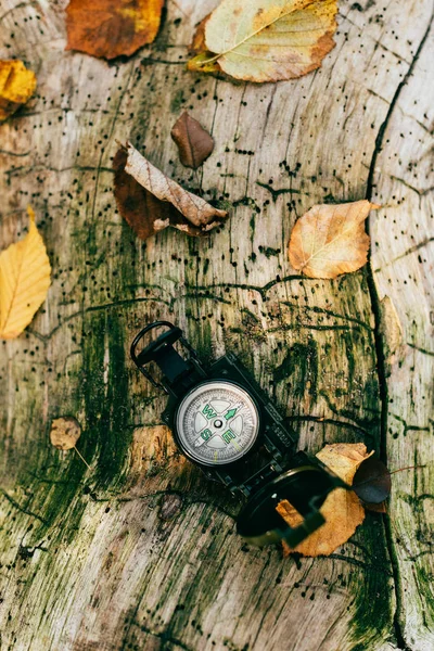 Top View Compass Aged Rustic Tree Bark Foliage — Stock Photo, Image