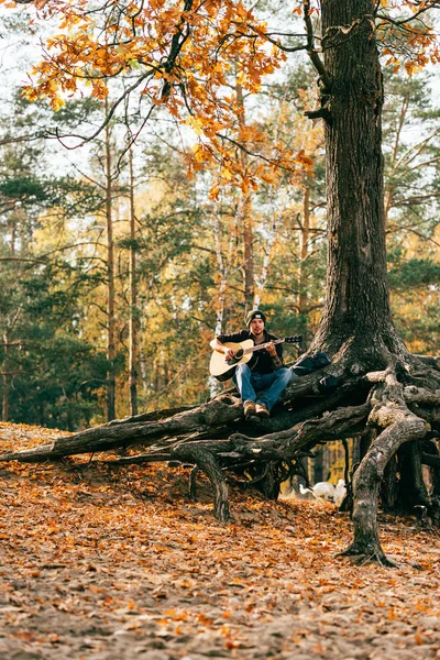 Adulto Masculino Tocando Guitarra Acústica Sentado Árvore Parque — Fotografia de Stock Grátis
