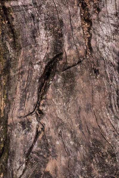 Full Frame Image Cracked Tree Trunk Background — Stock Photo, Image