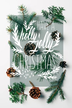 flat lay with green branches and pine cones arranged on white backdrop with 