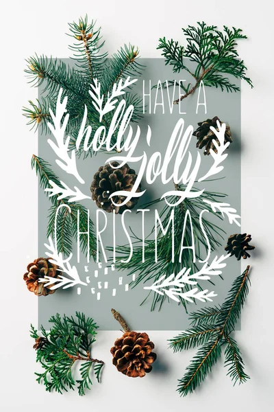 Flat Lay Green Branches Pine Cones Arranged White Backdrop Have — Stock Photo, Image
