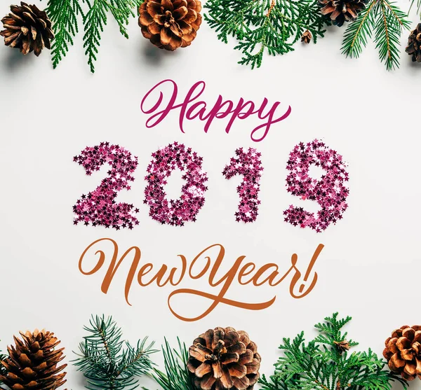 Flat Lay 2019 Year Sign Made Pink Confetti Pine Tree — Stock Photo, Image