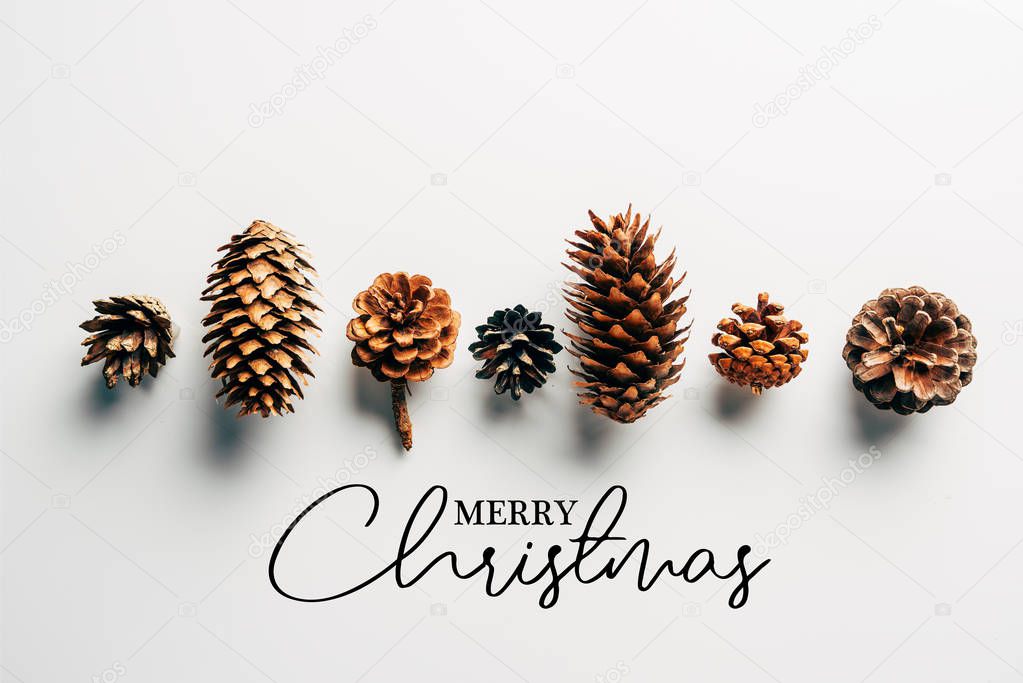 top view of pine cones arranged on white backdrop with 